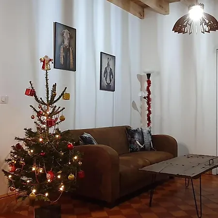 Maison 19eme Renovee Avec Terrasse Et Bornes De Recharge - Fr-1-489-406 * Cindre